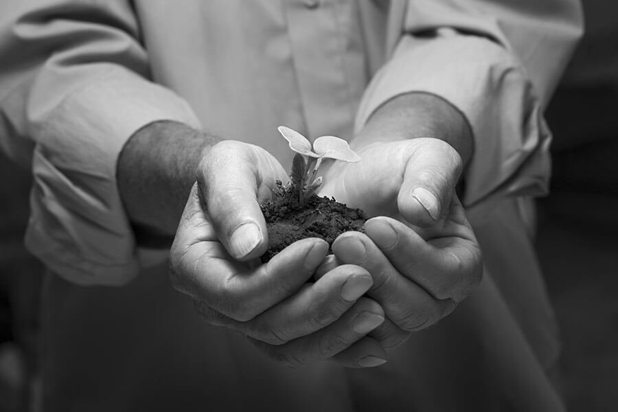 Individuelle Anlagestrategie